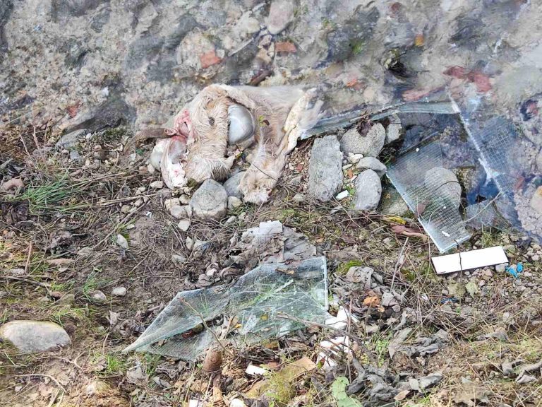 Apel i upozorenje: Animalni otpad odlagati na primjeren način!