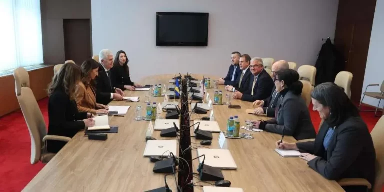 Južna interkonekcija: Ko stoji iza projekta i kakva je uloga Amera Bekana?