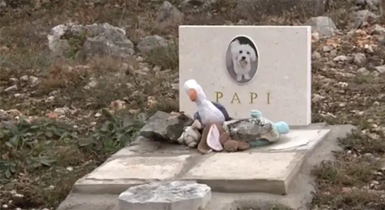 Vjerovali ili ne – u Trebinju postoji groblje kućnih ljubimaca