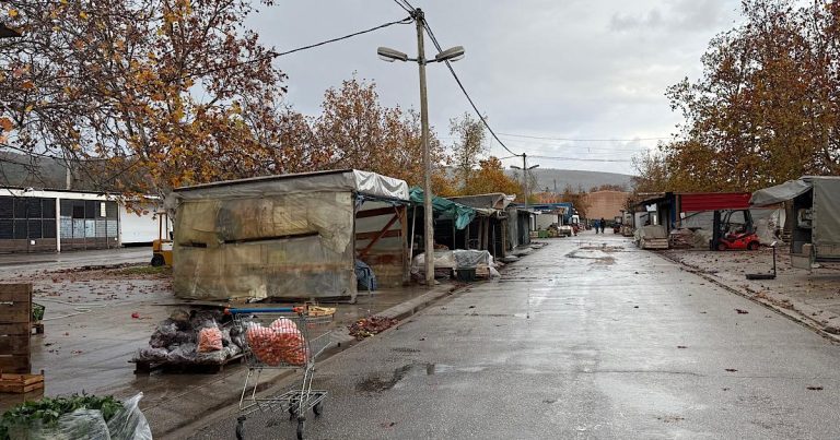 Čapljina: Slabija ponuda i potražnja na Veletržnici zbog nevremena i praznika