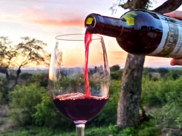 Mostar: Organoleptička ocjena potencijala mladih otvorenih vina