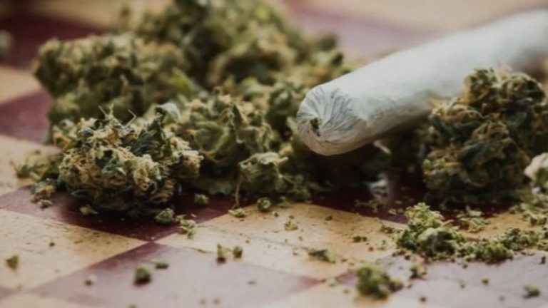 Policija pretresla kuću u Čapljini, pronađena marihuana