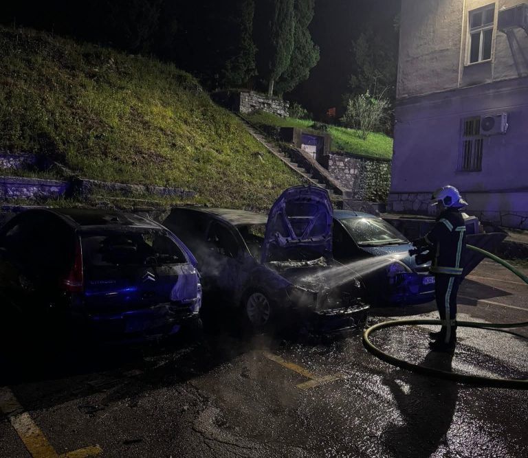 Mostar: Izgorilo više automobila, uzrok požara za sada nepoznat