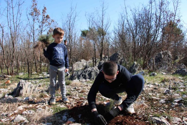 “Boranka u BiH”: U subotu akcija pošumljavanja na Rujištu