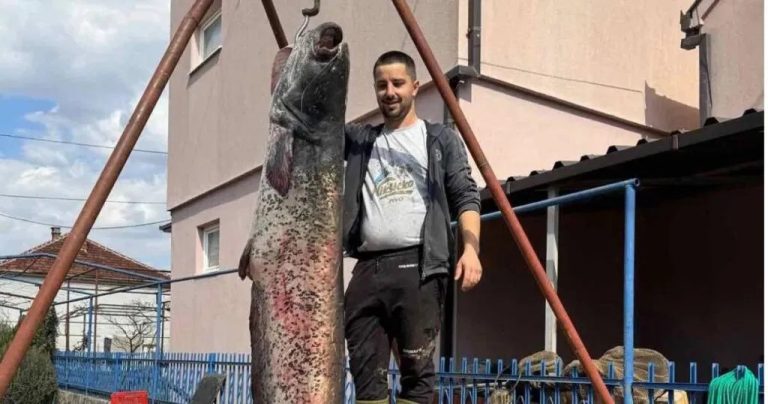 Kapitalan ulov: Bilećanin ulovio soma od dva i po metra i 90 kila