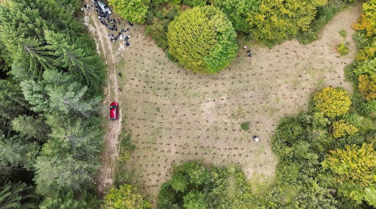 Svjetski dan šuma: 20.000 sadnica za 20 godina poslovanja kompanije Nestlé u BiH