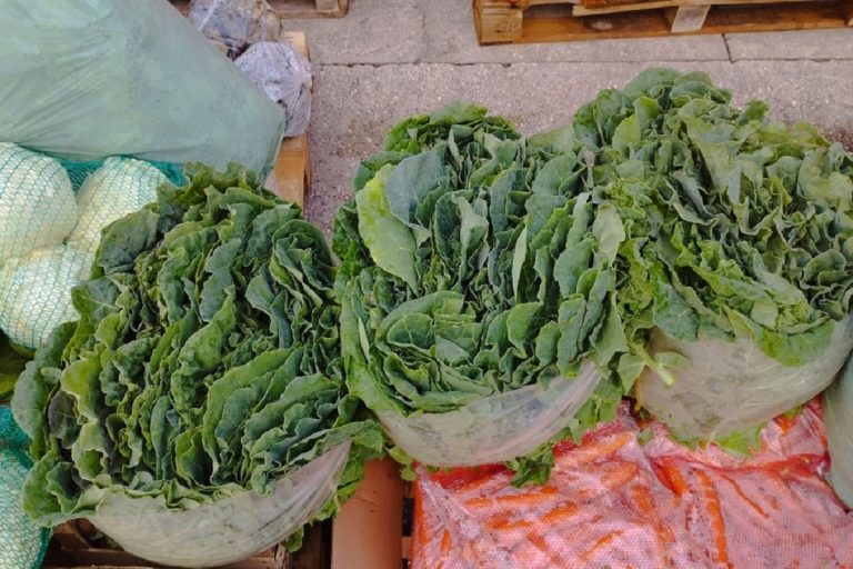 Veletržnica Čapljina: Cijene povrća u padu