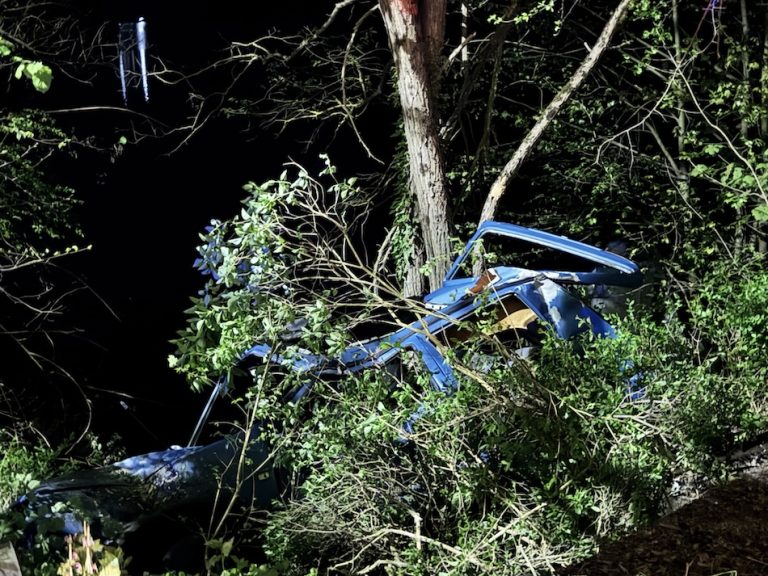 Konjic: Teška saobraćajna nesreća, vozilo sletilo s ceste u Radešinama