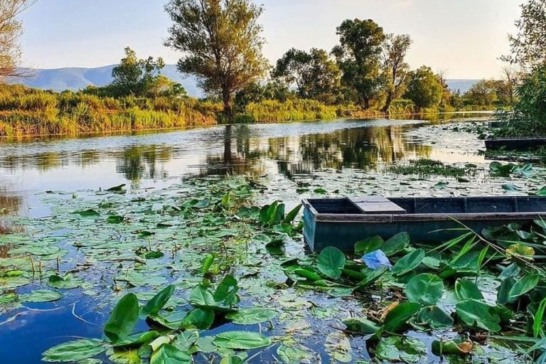 Hutovo blato: Dragulj prirode u opasnosti, a čuva više ugljika nego sve šume u BiH