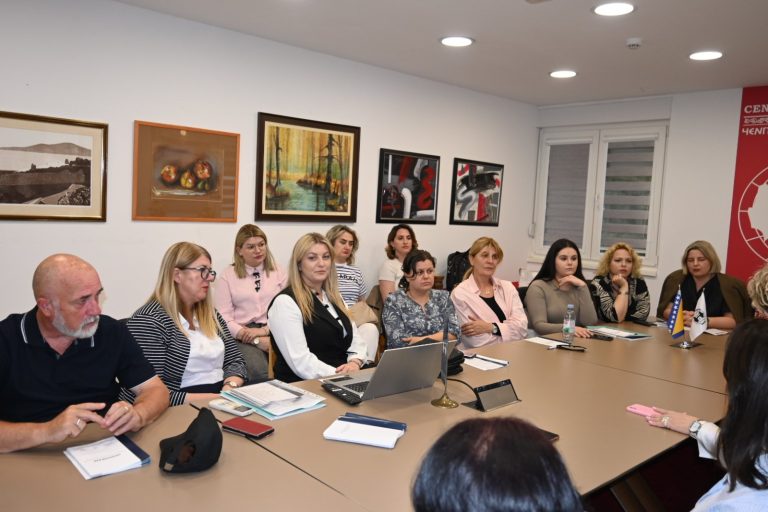 Inicijativa građanki/na Mostar (IGM) predstavila Hodogram za prijavljivanje nasilja u porodici u HNK