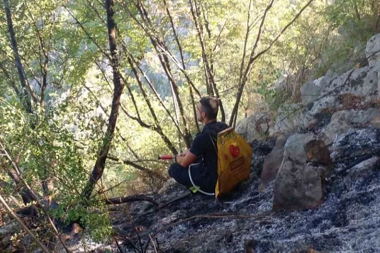 Vatrogasci ulažu nadljudske napore: U Malom Polju noćas od požara odbranjene kuće