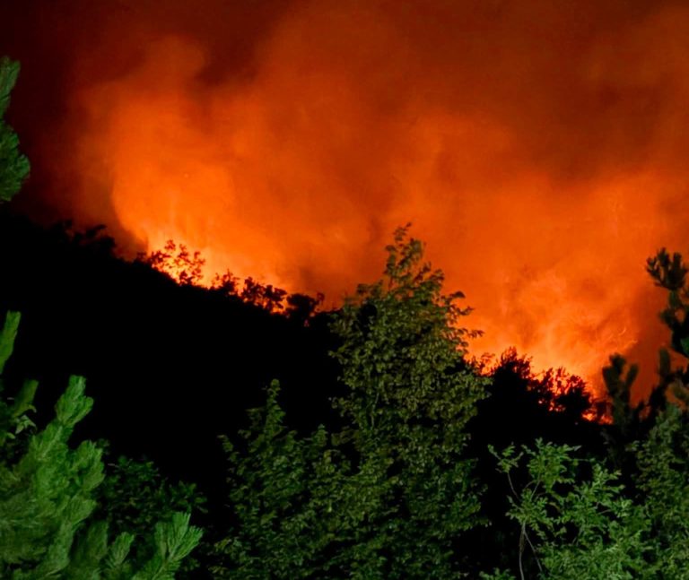Požar na Potporimu i dalje aktivan: Vatrogasci na terenu