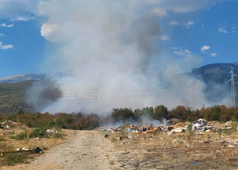 Mostar: Brzom intervencijom ugašen požar u Prigrađanima