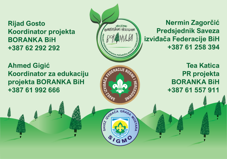“Boranka” najavljuje jesenski zeleni val: Pet novih akcija pošumljavanja širom BiH