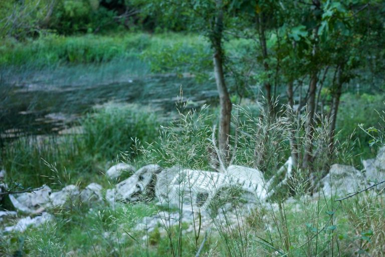 Dva dana za Bunicu: Građani pozvani na čišćenje i uređenje Velike pećine