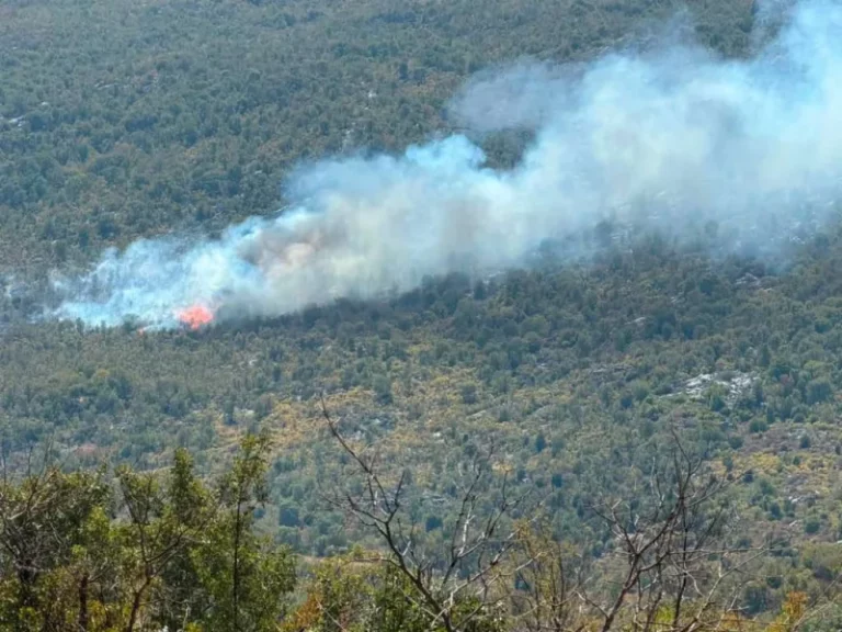 Požar ponovo buknuo kod Gruda: Gori šuma, a tehnički kvar zakomplicirao gašenje iz zraka