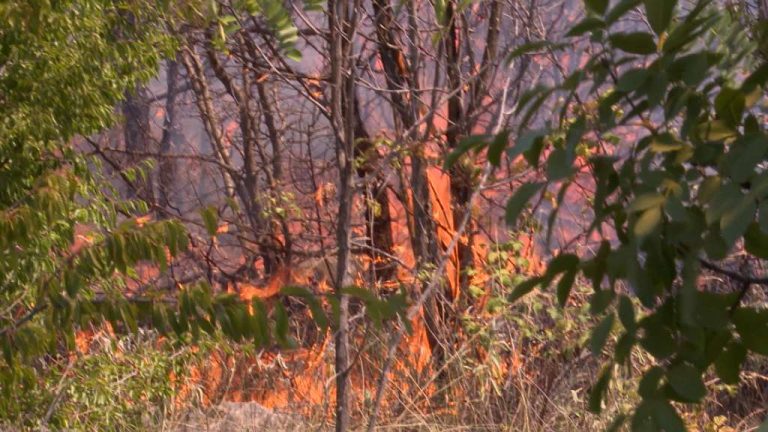 Veliki požar kod Konjica i dalje aktivan: U pomoć stigli vatrogasci iz Sarajeva, angažovani helikopteri i Air Tractori