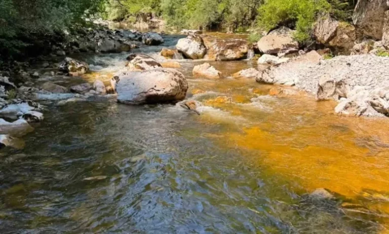 Austrijski naučnici upozoravaju: Neretva u gornjem toku promijenila boju, traži se nezavisna istraga