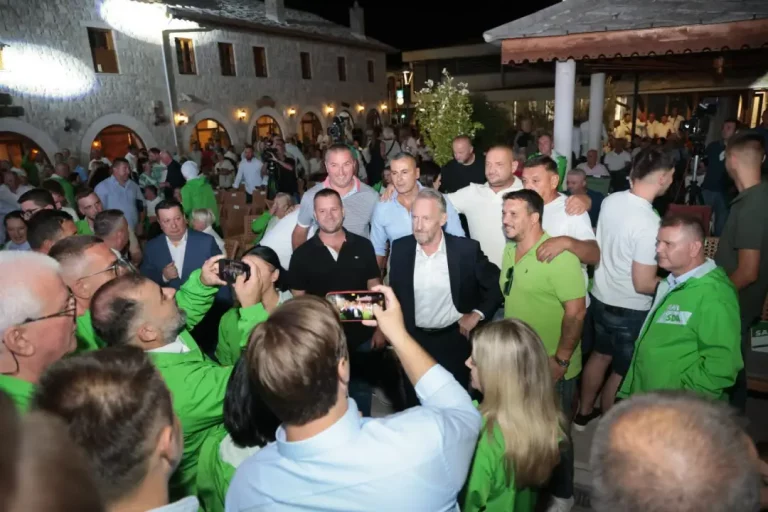 Izetbegović: Ova vlast mora otići, a odgovornost preuzeti oni koji imaju znanje i hrabrost