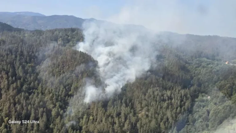 Požar na Čvrsnici i dalje aktivan, očekuje se pomoć helikoptera OS BiH