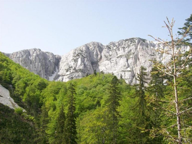 Hercegbosanske šume ušle na tržište karbon kredita: Prva prodaja donijela 8.000 KM