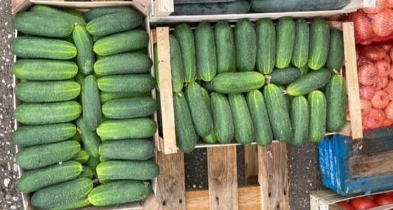 Počela priprema zimnice: Na Veletržnici u Tasovčićima traže se kornišoni, cvekla, mrkva i roge